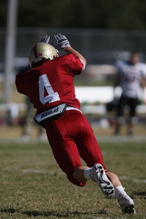 od体育中国官网-西悉尼流浪者赛前训练公开,备战世俱杯冲刺