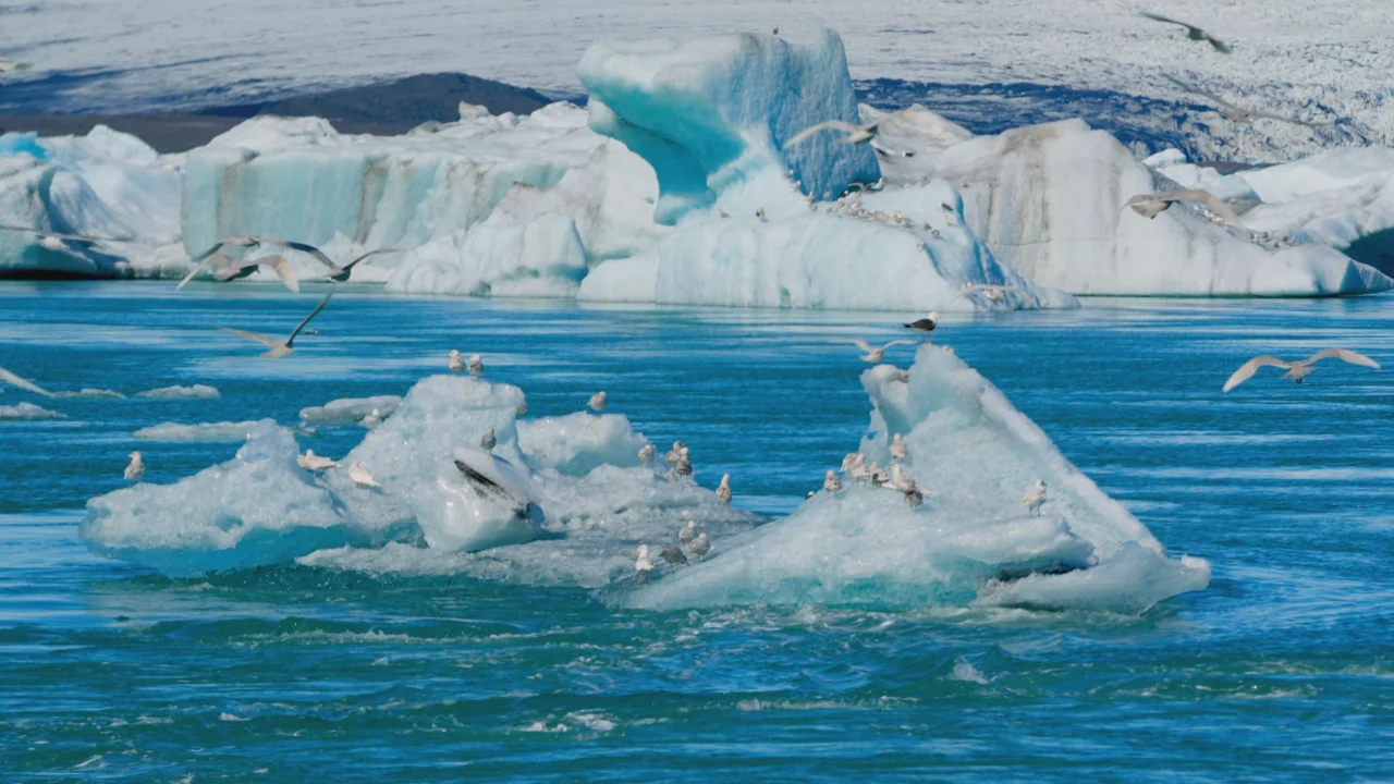od体育地址-北马其顿-逆转冰岛,实现反超