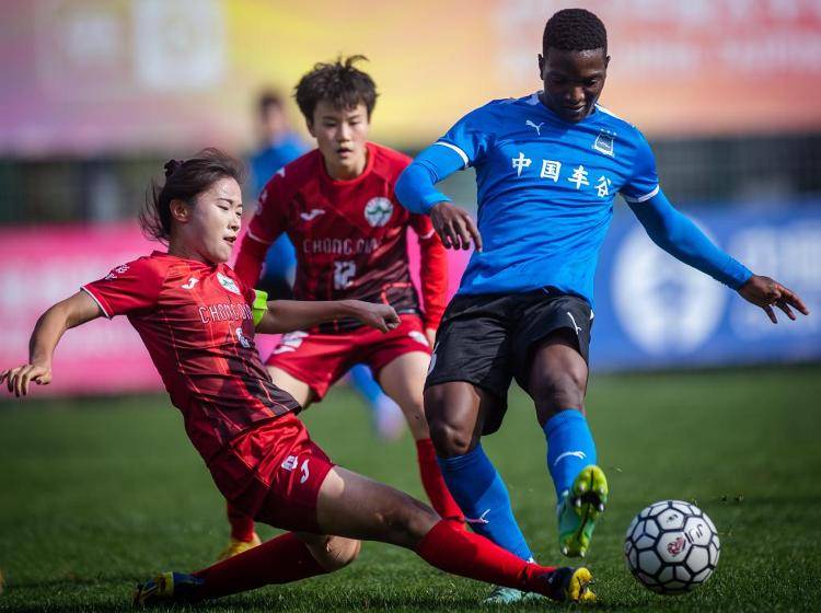 od体育入口-拉美球员在国内联赛中表现抢眼